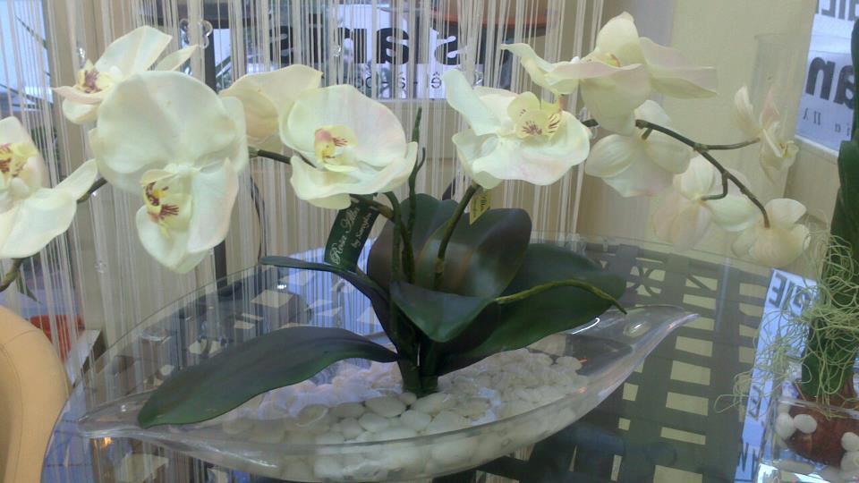Iris - Flower shop